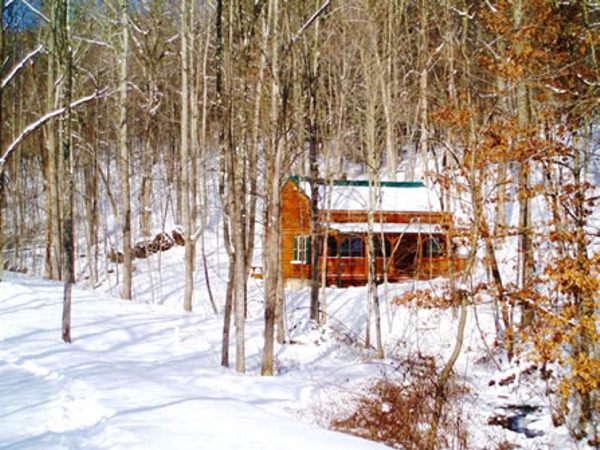 Cook's Creek Cabins, Cook's Creek Cabin (photo #4)