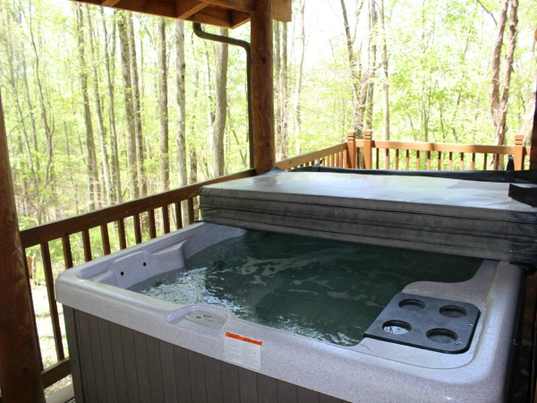 Valley View Cabins, Van Buren 1 (photo #4)