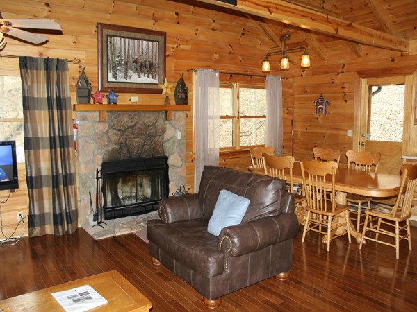 Valley View Cabins, Hill Side Lodge (photo #3)